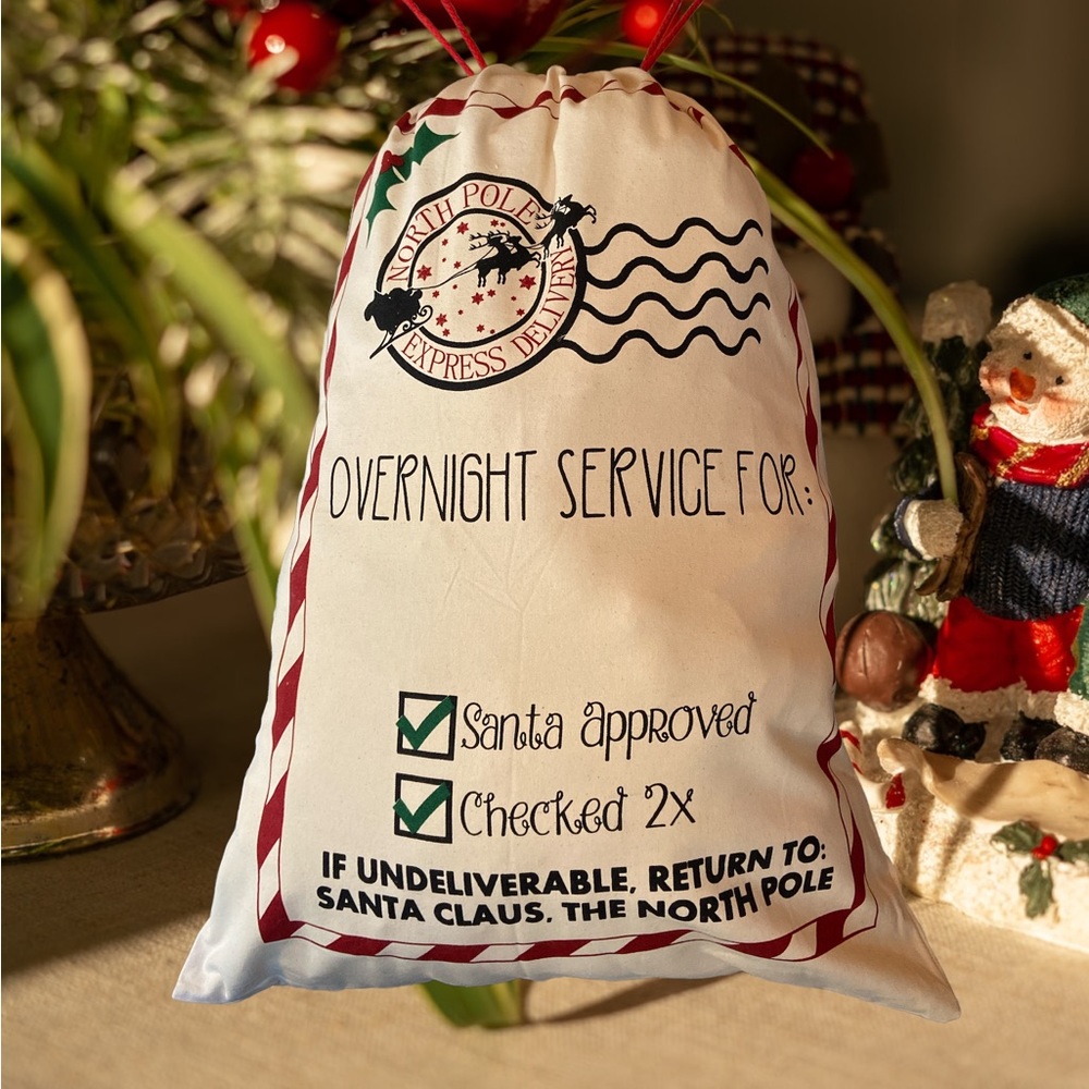 Special delivery Santa bag